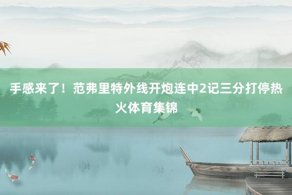 手感来了！范弗里特外线开炮连中2记三分打停热火体育集锦