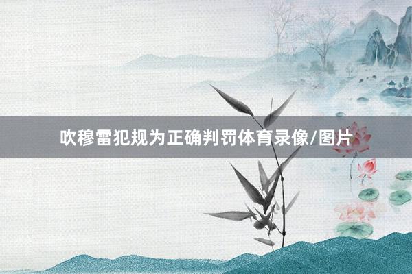 吹穆雷犯规为正确判罚体育录像/图片