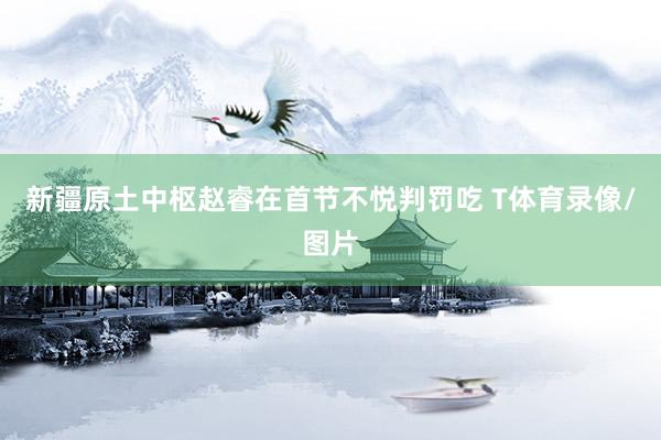 新疆原土中枢赵睿在首节不悦判罚吃 T体育录像/图片