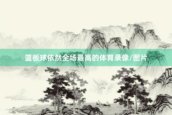 篮板球依然全场最高的体育录像/图片