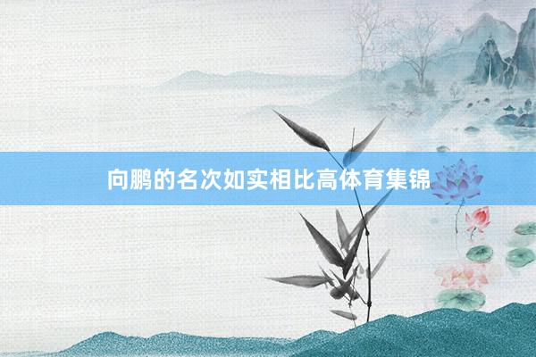 向鹏的名次如实相比高体育集锦