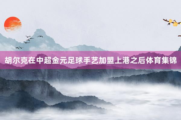 胡尔克在中超金元足球手艺加盟上港之后体育集锦