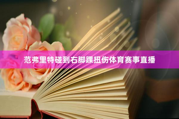 范弗里特碰到右脚踝扭伤体育赛事直播