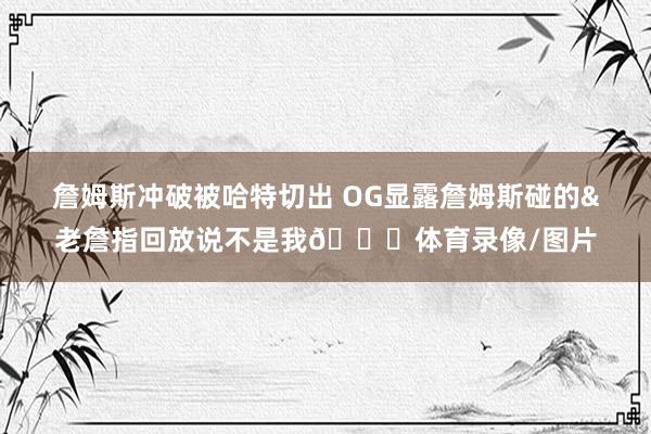 詹姆斯冲破被哈特切出 OG显露詹姆斯碰的&老詹指回放说不是我😂体育录像/图片