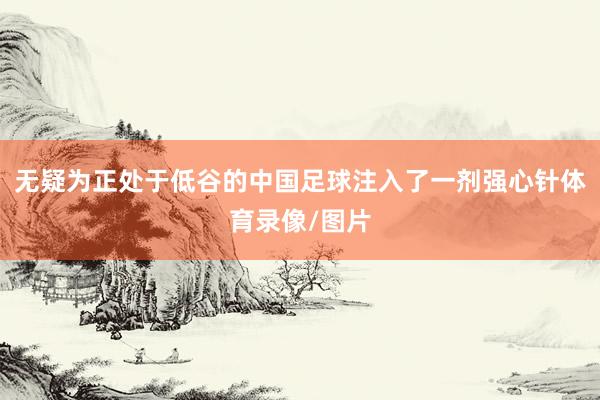 无疑为正处于低谷的中国足球注入了一剂强心针体育录像/图片