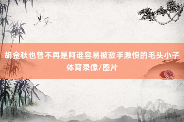 胡金秋也曾不再是阿谁容易被敌手激愤的毛头小子体育录像/图片