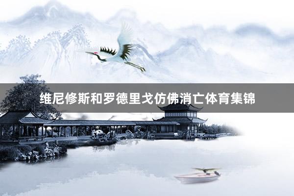维尼修斯和罗德里戈仿佛消亡体育集锦