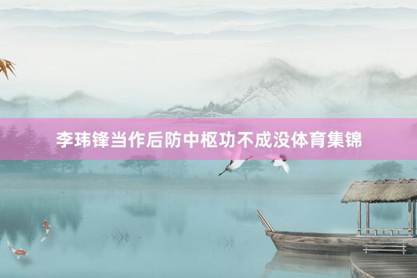 李玮锋当作后防中枢功不成没体育集锦