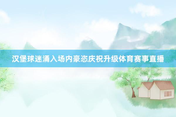 汉堡球迷涌入场内豪恣庆祝升级体育赛事直播