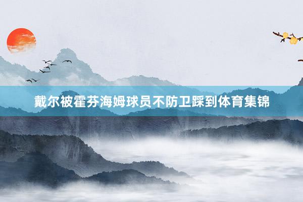 戴尔被霍芬海姆球员不防卫踩到体育集锦