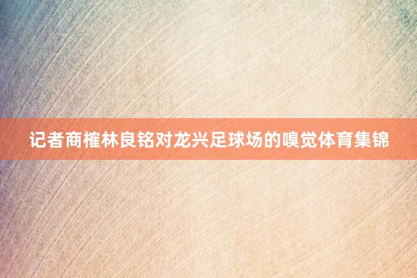记者商榷林良铭对龙兴足球场的嗅觉体育集锦