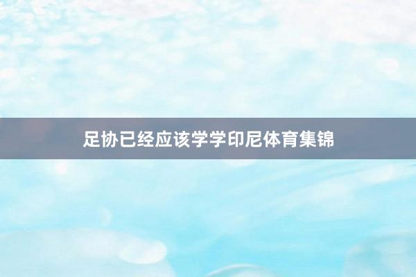 足协已经应该学学印尼体育集锦