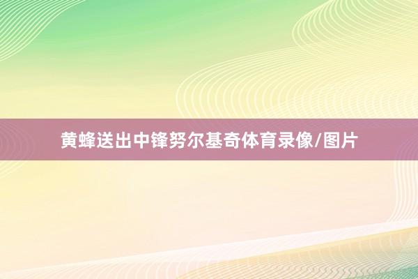黄蜂送出中锋努尔基奇体育录像/图片