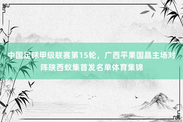 中国足球甲级联赛第15轮，广西平果国晶主场对阵陕西蚁集首发名单体育集锦
