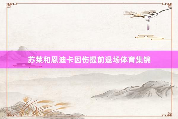 苏莱和恩迪卡因伤提前退场体育集锦