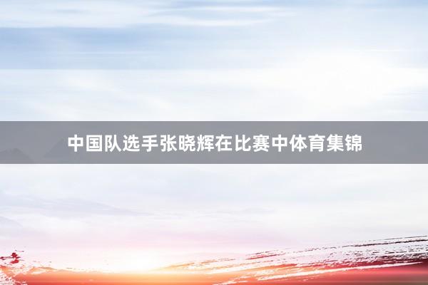 中国队选手张晓辉在比赛中体育集锦