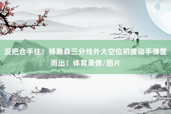 没把合手住！杨瀚森三分线外大空位初度动手弹筐而出！体育录像/图片