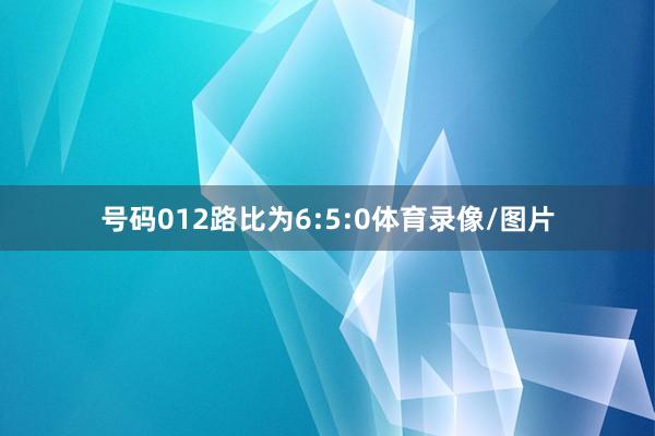 号码012路比为6:5:0体育录像/图片
