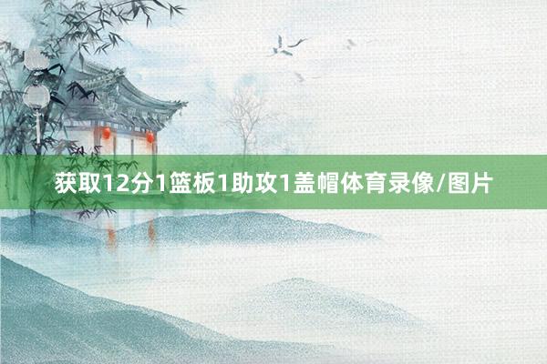 获取12分1篮板1助攻1盖帽体育录像/图片