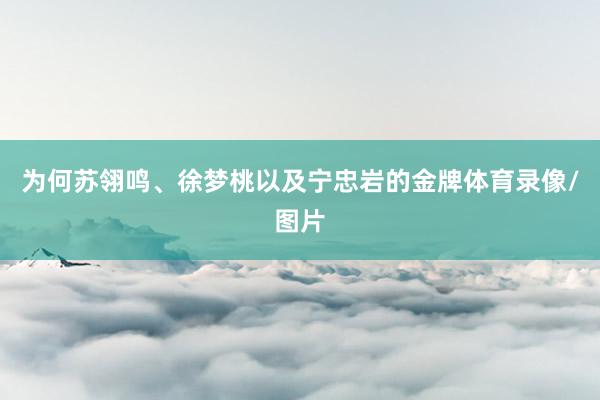 为何苏翎鸣、徐梦桃以及宁忠岩的金牌体育录像/图片