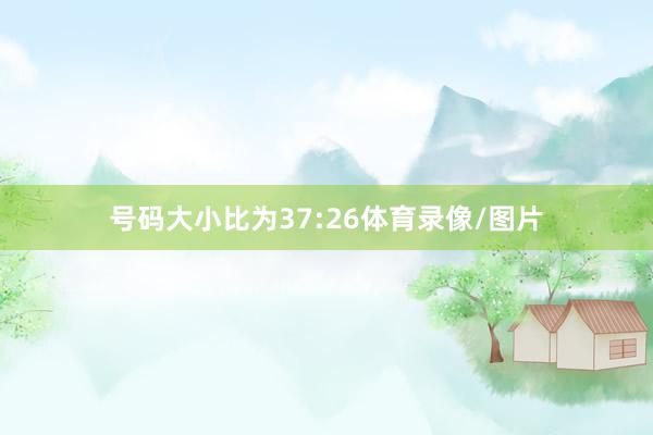 号码大小比为37:26体育录像/图片