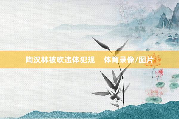 陶汉林被吹违体犯规    体育录像/图片