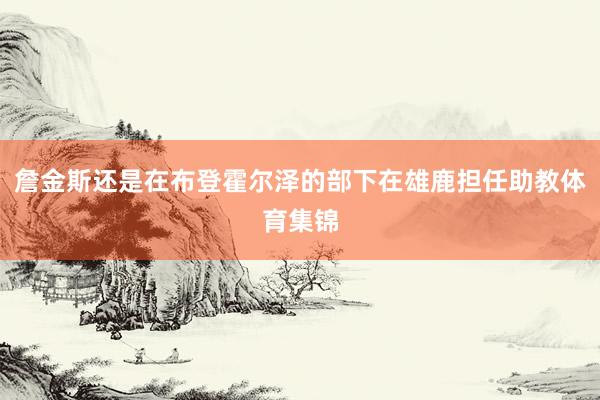 詹金斯还是在布登霍尔泽的部下在雄鹿担任助教体育集锦
